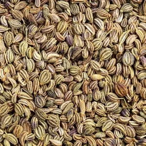 COORG PREMIUM QUALITY AJWAIN