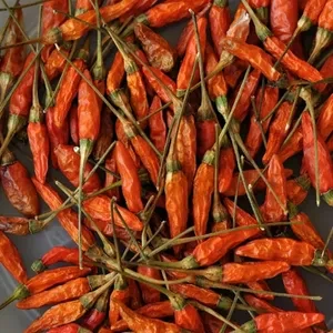 COORG PREMIUM QUALITY BIRD EYE CHILLI