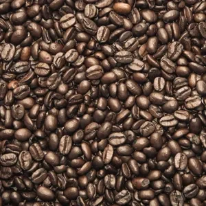 COORG PREMIUM QUALITY ROBUSTA COFFEE BEAN